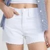 FRAME Le Brigette Shorts